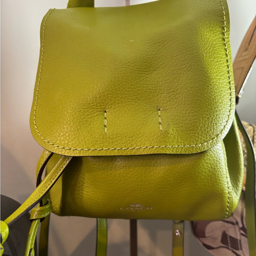 Coach Green Derby Daypack